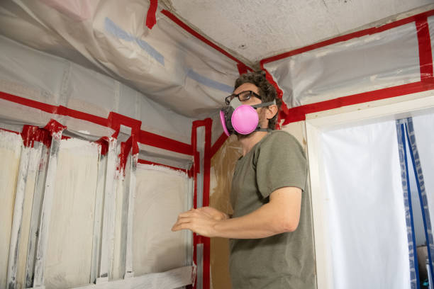 Mold Odor Removal Services in Murillo, TX